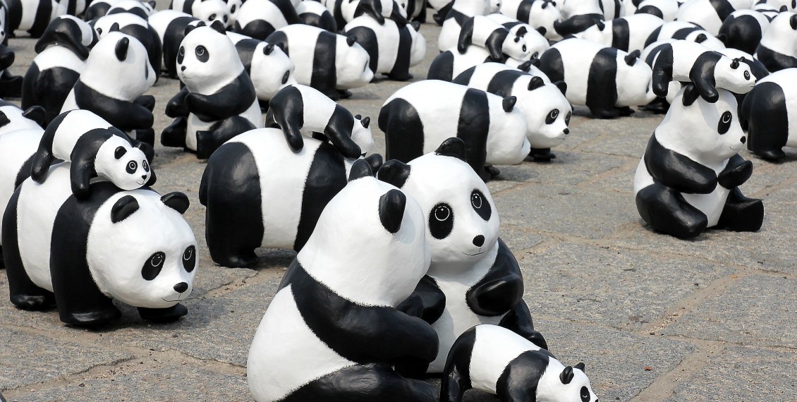 panda-826241_1920